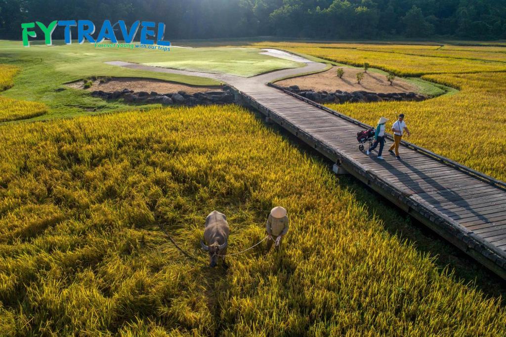 Angsana Lang Co Angsana Lang Co