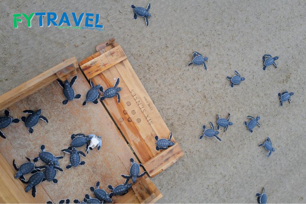 Six senses resort Côn Đảo Six senses resort Côn Đảo