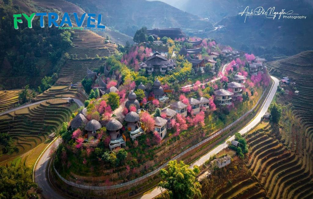 Garrya Mù Cang Chải Garrya Mù Cang Chải