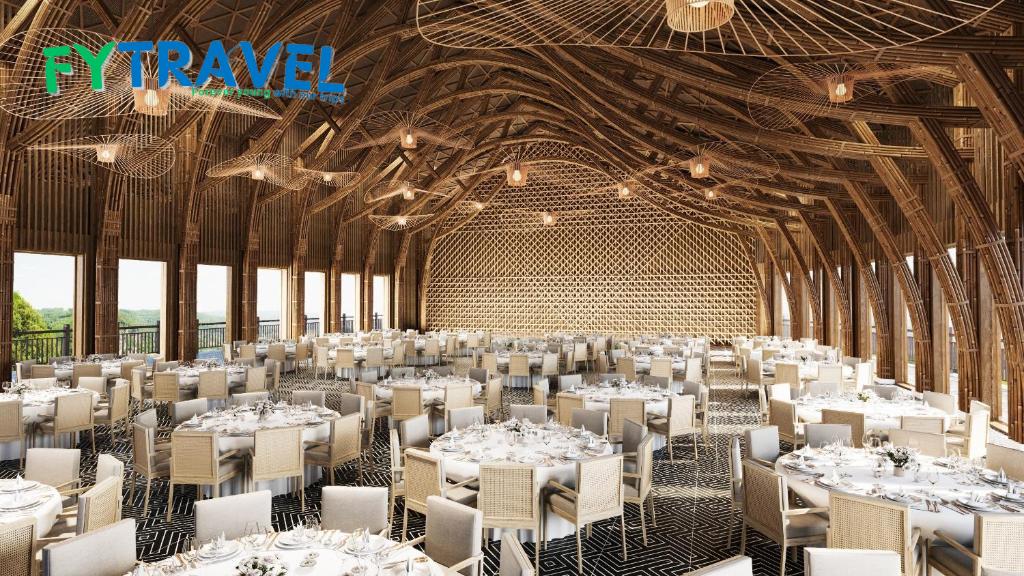 Garrya Mù Cang Chải Garrya Mù Cang Chải