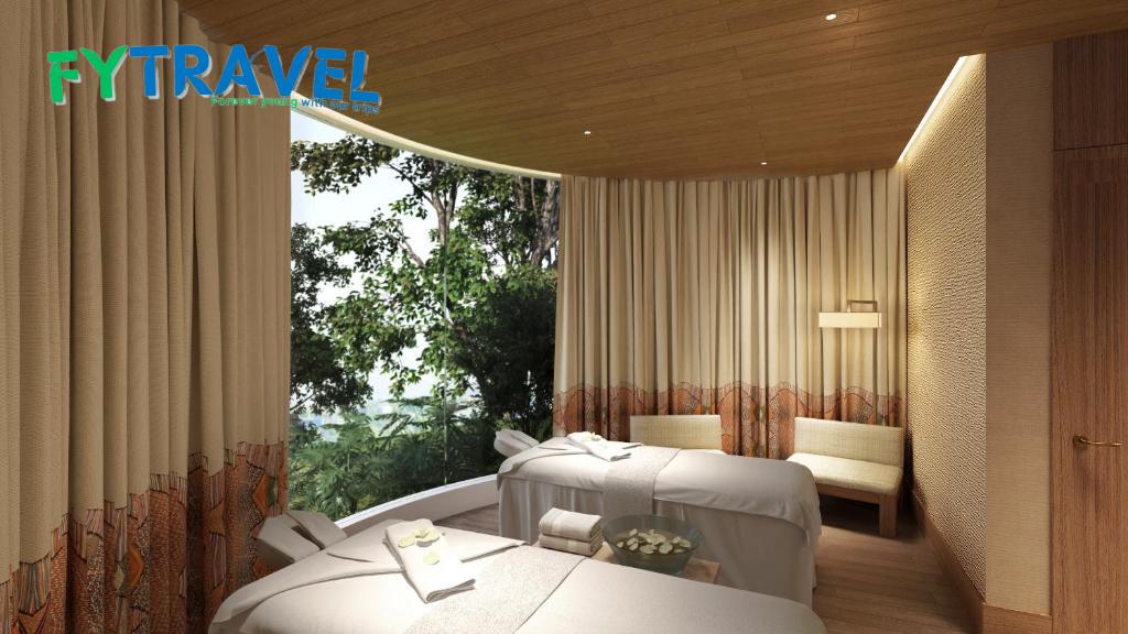 Garrya Mù Cang Chải Garrya Mù Cang Chải