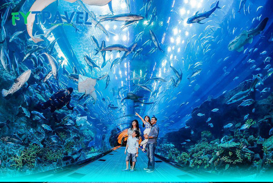 Phú Quốc - Thiên đường giải trí VinWonders - Vinpearl Safari - Hòn Thơm Nature Park - Cáp Treo Vượt Biển - Công Viên Nước Aquatopia Phú Quốc - Thiên đường giải trí VinWonders - Vinpearl Safari - Hòn Thơm Nature Park - Cáp Treo Vượt Biển - Công Viên Nước Aquatopia