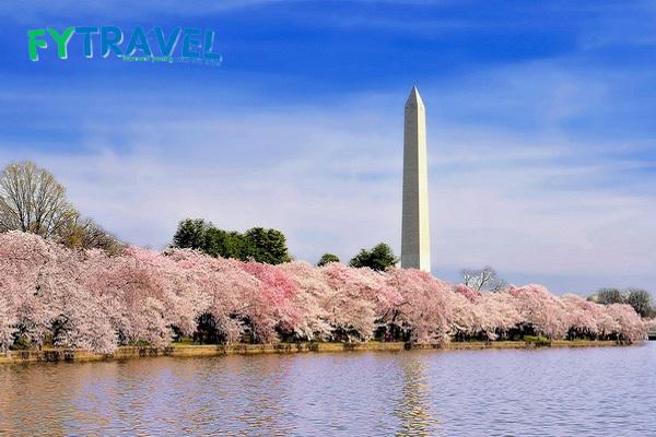 Tour Mỹ 2024: Bờ Đông Mỹ New York– Philadelphia– Washington DC Kết Hợp Thăm Thân Tour Mỹ 2024: Bờ Đông Mỹ New York– Philadelphia– Washington DC Kết Hợp Thăm Thân