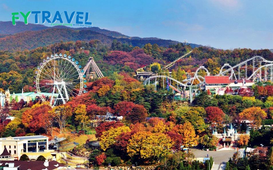 Tour Du Lịch Hàn Quốc 5 Ngày 4 Đêm Mùa lá đỏ Tour Du Lịch Hàn Quốc 5 Ngày 4 Đêm Mùa lá đỏ