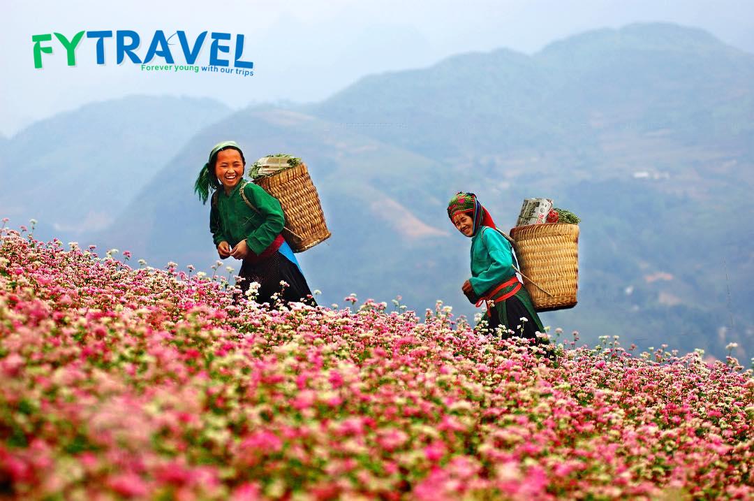 Hà Giang - Lũng Cú- Đồng Văn Hà Giang - Lũng Cú- Đồng Văn