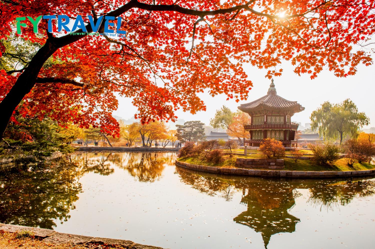 Tour Du Lịch Hàn Quốc 5 Ngày 4 Đêm Mùa lá đỏ Tour Du Lịch Hàn Quốc 5 Ngày 4 Đêm Mùa lá đỏ