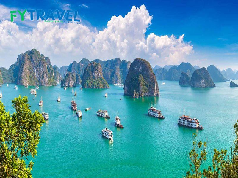 Tour Du Lịch Đảo Bình Hưng: Bãi đá Trứng - Vịnh Đá Vách - Hang Yến - Bãi Me - Hòn Sam - Nước Đổ Tour Du Lịch Đảo Bình Hưng: Bãi đá Trứng - Vịnh Đá Vách - Hang Yến - Bãi Me - Hòn Sam - Nước Đổ